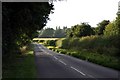 Evening shadows on the Drakeholes road in Wiseton