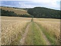 Footpath at Povey Farm in Ridgeway & Marsh Lane Ward
