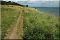 Cliff top path near Kingsdown in CT14 8EJ