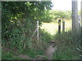 Footpath junction in Pippins Farm (1) in TN2 4AE