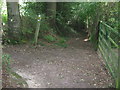 Footpath junction in Snipe Wood in TN2 4JA