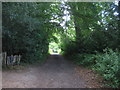 High Weald Paths on Woodlands in TN2 4JA