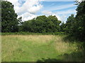 High Weald Walks past playing field near Pembury in TN2 4JF