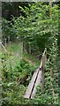 Footbridge in Sewards Copse near Fernhurst in GU27 3ER