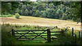 Footpath leaves Sewards Copse near Fernhurst in GU27 3ER