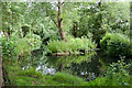 Village Pond and Nature Reserve, West Itchenor in PO20 7DD