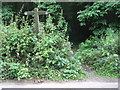Footpath junction on High Weald Walks in TN3 9AD