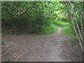 Footpath junction on Tunbridge Wells Circular in TN2 5HG
