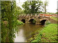 Eashing: the River Wey approaching Eashing Bridge in GU8 6BB