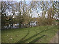 Village Pond in S81 9DX