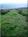 Old bank & ditch on Mynydd y Drum in SA9 1QP