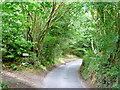 Spats Lane in GU35 8SU