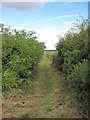 View of Footpath to Meols in CH48 1PN