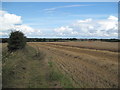 Wirral Farmland and Footpath in CH48 1PN