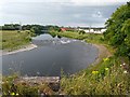 River Eden, upstream from Waverley Viaduct in CA2 7PF