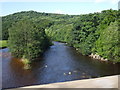 River Swale from Lowenthwaite bridge in DL11 6BJ
