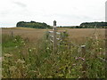 Pamphill, bridleway marker in BH21 5DD