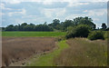 Open fields south of Stonham Aspal in IP6 9TH