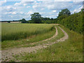 Track, field and hedge in IP6 9TH
