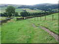 Footpath towards Wildboarclough in SK11 0BD