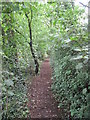 View of Footpath near Cherry Farm in CH64 7TW