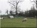 Smallholding near The Plough. in BA15 2RG