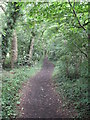 Bridleway between Willaston Road and Mill Lane in CH64 1RG