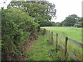 View of Footpath north of Willaston in CH64 1TN