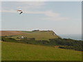 Ringstead: gliding above White Nothe in DT2 8NQ