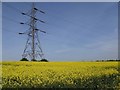 Electricity pylon in a field of rapeseed in PO16 8TS
