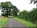 Path to Monk's Farm in NR15 1QH