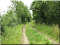 Public footpath to Greenways in NR15 1QH