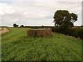 Pillbox near Hospital Farm and Leadenhall Farm in PE12 8HB