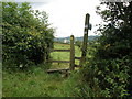 Stile, near Yarcombe in EX14 9BE