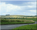 2009 : Minor road west of Allington in SN10 3NJ