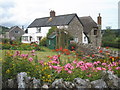 Cottage garden, Yarcombe in EX14 9AA