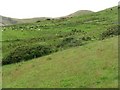 Hill pasture at Boghall in EH26 0PG