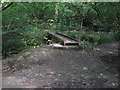 Everlasting footbridge in Nutham Wood in RH13 9GF
