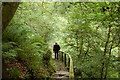 Footpath and greenery, Habbie's Howe in EH26 9NE