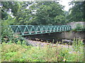 Footbridge over the River Wear at Stanhope in DL13 2PE