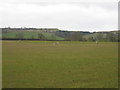 View of the Burton Hills from Northend Lane in CV47 2TB
