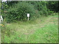 Footpath junction near Sandhurst farm in TN27 8QZ