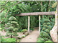 The Japanese Garden at St Mawgan in TR8 4EU