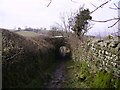 Above Hincaster Tunnel in Levens and Crooklands Ward