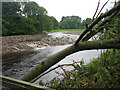 River Wear at Frosterley in DL13 2RY