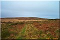 View from Rushlade Common - Dartmoor in TQ13 7HQ