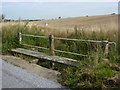 Footbridge beside lane in Hoo