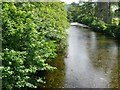 Afon Wnion at the bridge at Dolgellau. in LL40 2YY