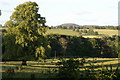 Trees and fields, Glenericht in PH10 7YB