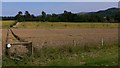Footpath through field between the West and South Hartings in GU31 5BG